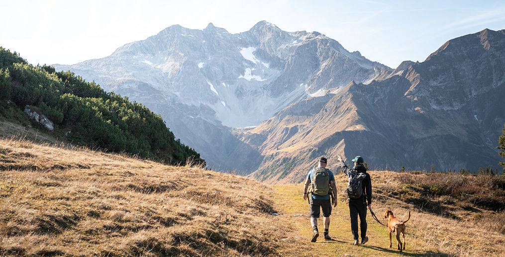 Two hikers and a dog walk across an autumnal alpine meadow, with the Braunarlspitze rising in the distance, dotted with a few remaining snow patches.