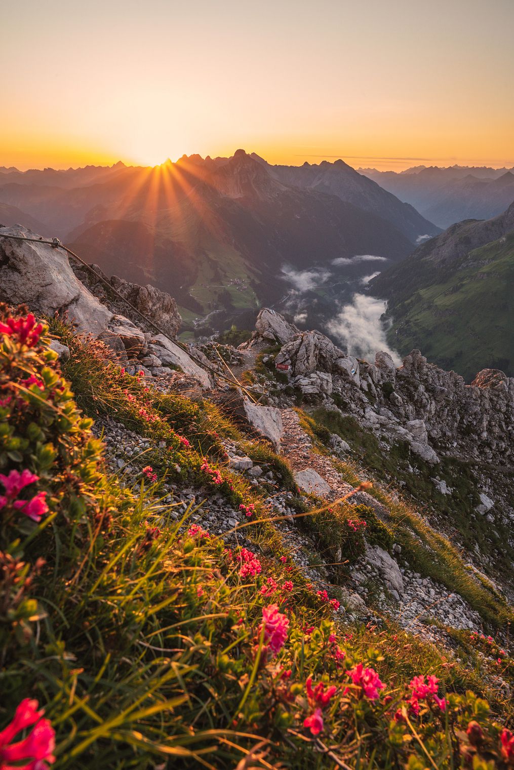 Sunrise at the rocky Karhorn with a view of the Biberkopf, where the sun emerges. Alpine roses on the rocks glow in the first rays of sunlight.