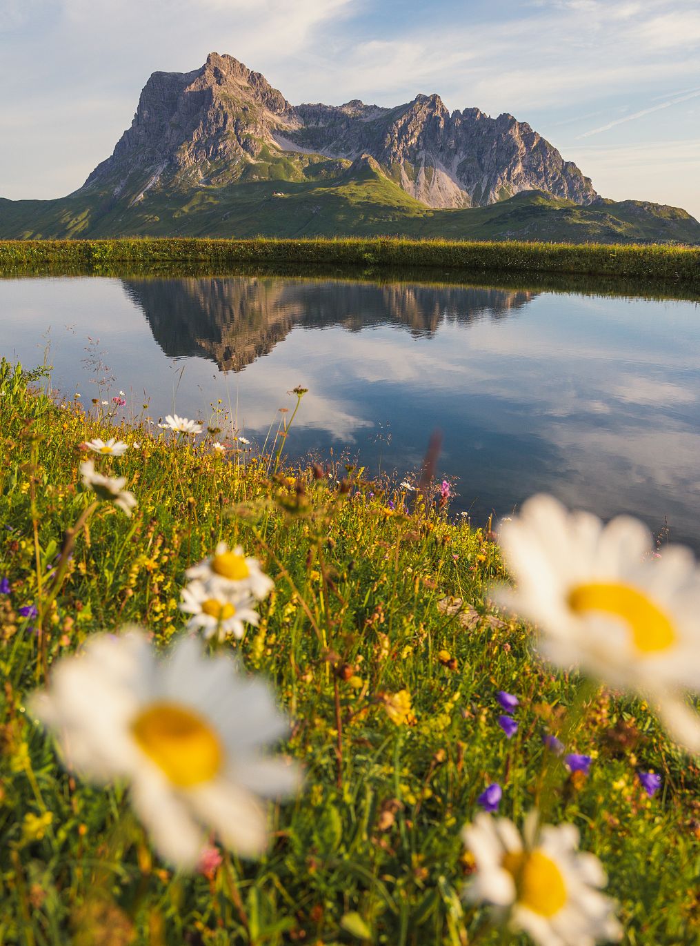 Steinmandlsee in deep blue, reflecting the Widderstein, which is also visible in the background. In front of the lake, a blooming alpine meadow stretches out, with daisies reaching toward the camera.