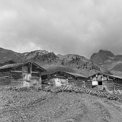Historic photo of old wooden barns.