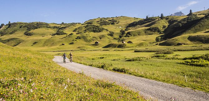 Two cyclists ride through the green Auenfeld.