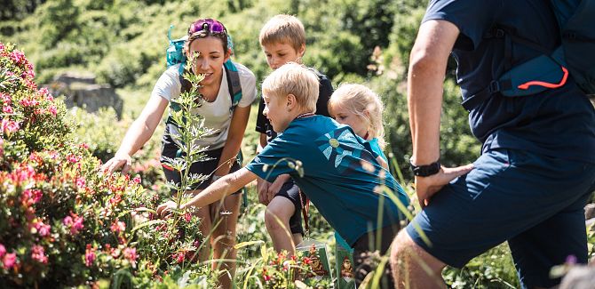 A family gathered around a bush of alpine roses. The mother is showing something to the others.
