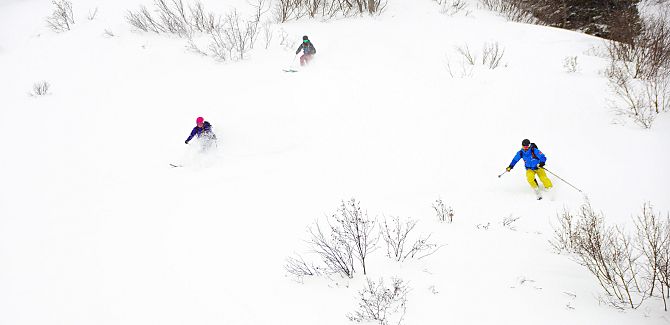 Zwei Damen folgen ihrem Guide Christian Fritz durch den Powder den Hang hinunter.