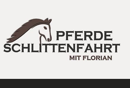 Horse sleigh ride with Florian.