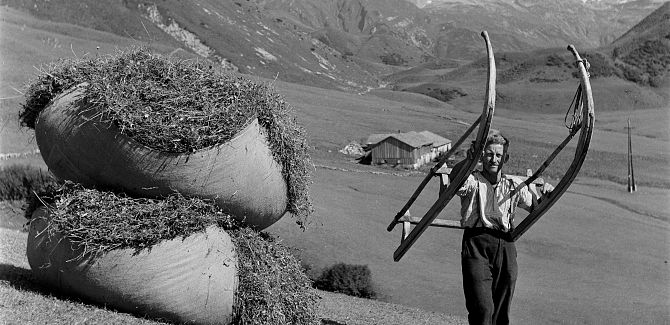 Altes Bild eines Mannes, der einen Holzschlitten hochhält, neben ihm liegen zwei zusammengebundene Heupakete.