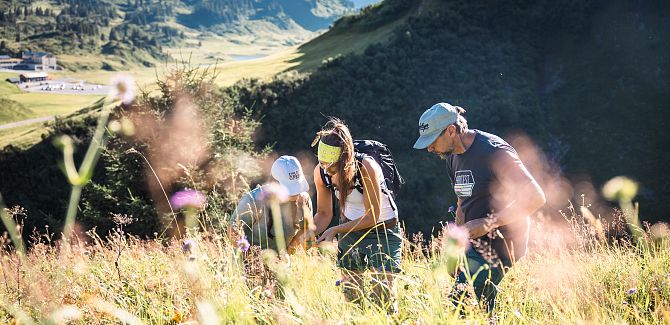 gefuehrte-kraeuterwanderung-14-1