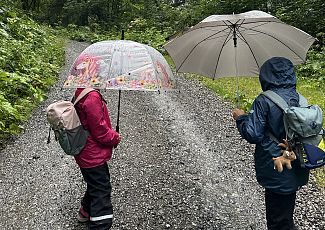 Zwei Kinder wandern mit Regenschirmen auf einem Schotterweg durch den Wald.