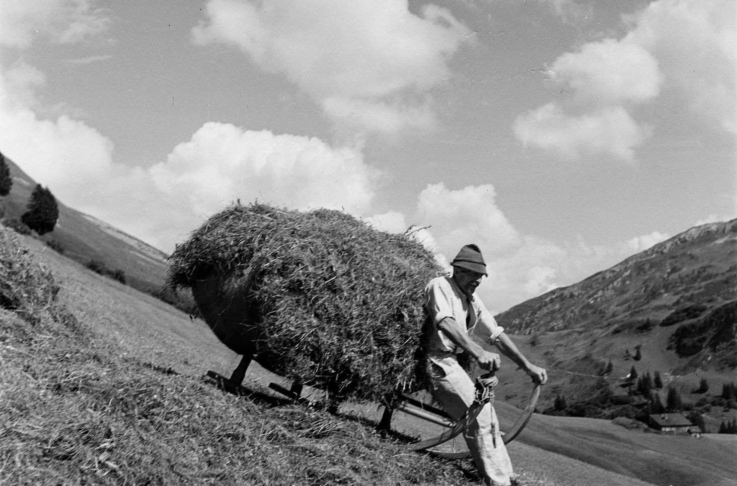 Historic photo of a man hauling hay down the valley on a large sled.