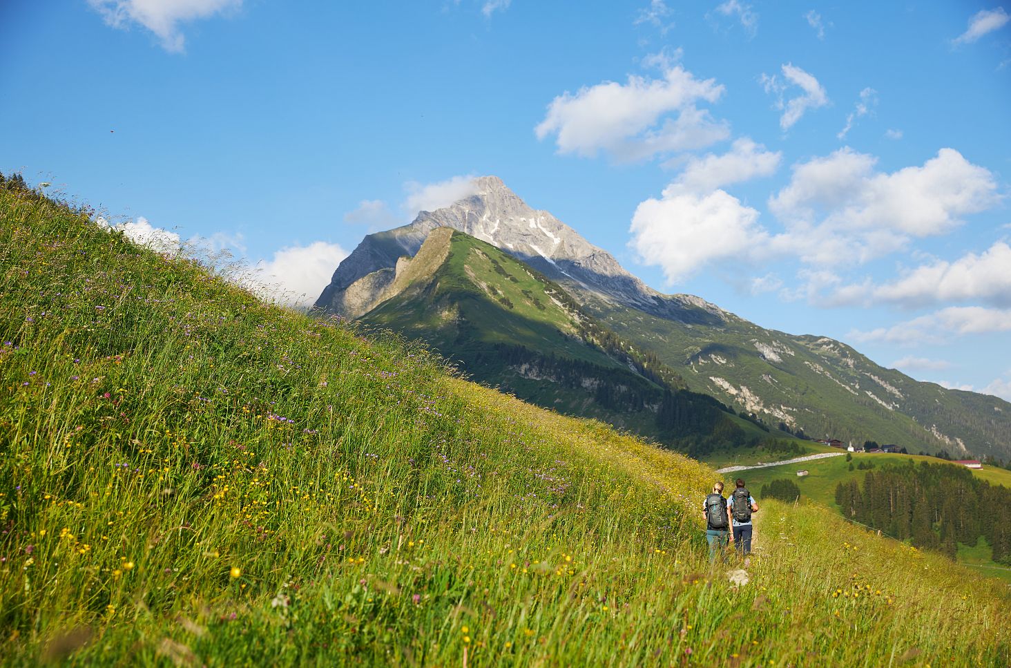 Zwei Wanderer durchqueren eine blühende Almwiese mit atemberaubendem Bergpanorama unter einem strahlend blauen Himmel.