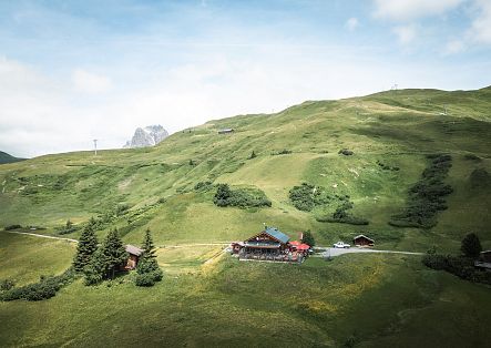 A man in a yellow T-shirt enjoys a Kaiserschmarrn while sitting on a terrace with a lady.