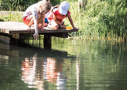 mobile-gefuehrte-kinder-kraeuterwanderung-12