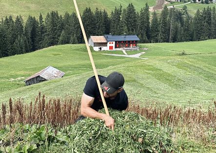 Johannes Strolz is gathering his hay with a rake.