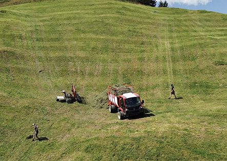 Johannes and Hubert Strolz work with a loader on steep terrain.