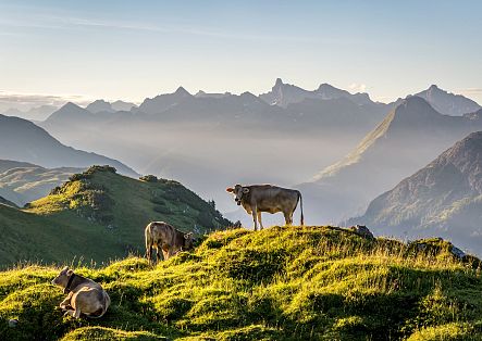 mobile-hochkrumbach-in-warth-schroecken-c-nora-froehlich-bregenzerwald-tourismus