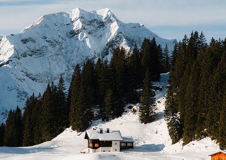 mobile-landschaftaufnahmen-warth-schroecken-23