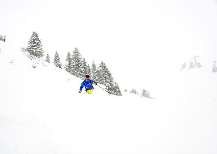 Der Guide fährt den Powderhang hinunter.