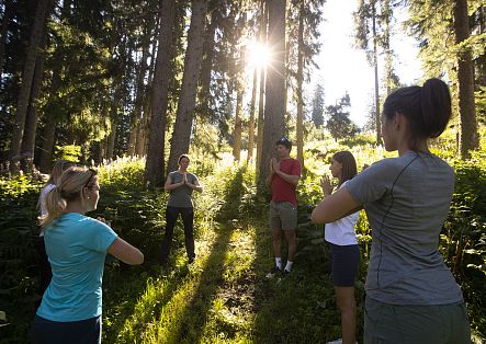 A group is taking part in forest bathing whilst an instructor demonstrates some exercises.