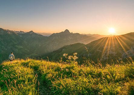 mobile-sonnenuntergang-hoeferspitze-c-michael-meusburger-bregenzerwald-tourismus