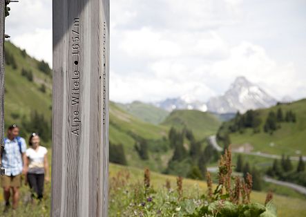 A wooden pillar with the engraving "Alpe Widder 1672 m", with the Biberkopf and hikers in the background.