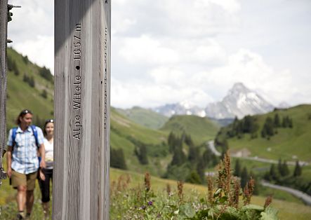 Eine Holzsäule mit der Gravur „Alpe Widder 1672 m“, im Hintergrund der Biberkopf mit Wanderern.