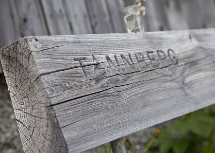 A weathered wooden bench with the inscription "Tannberg", surrounded by alpine vegetation.