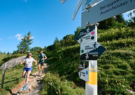 mobile-trailrunning-in-warth-schroecken-am-arlberg-43-1