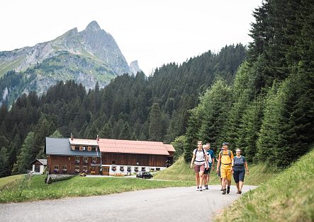 A hiking group on their way through the Schröcken parcels – surrounded by an impressive mountain backdrop and dense nature.
