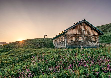A hut bathed in the warm glow of sunset. In the foreground, a lush green alpine meadow dotted with purple-pink blooming flowers.
