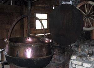 Schausennen mit Käseverkostung auf der Alpe Felle