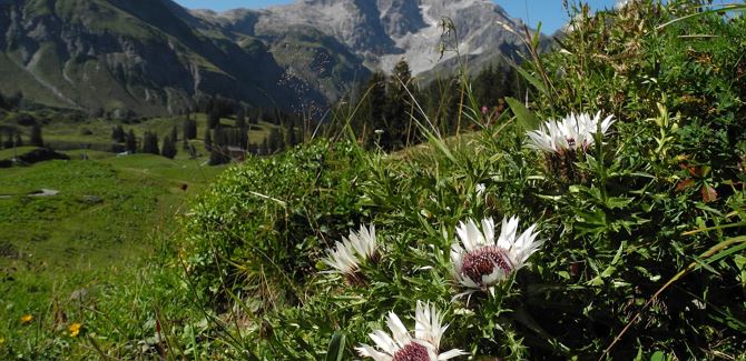 Geführte Bergtour Braunarlspitze 2.649 m