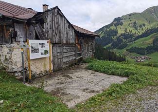 Käseverkostung mit Sennereibesichtigung in der Alpe Felle.