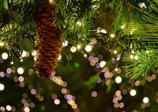 Tannberger Jägerweihnacht