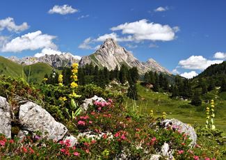 Geführte Bergtour Biberkopf. 2.599 m