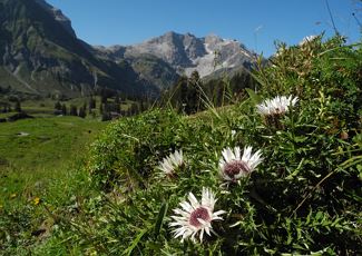 Geführte Bergtour Braunarlspitze 2.649 m