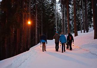 Laternenwanderung mit Toni in Warth