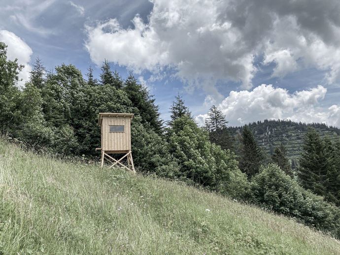 Aadla´s privater Hochstand - Natur pur