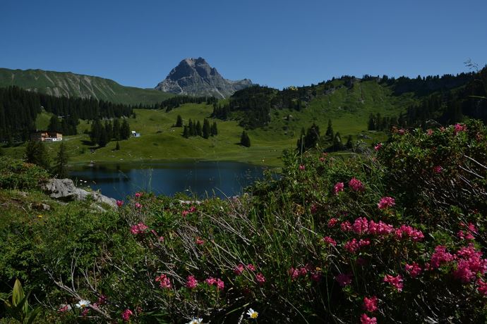 Körbersee Sommer 2015_3 (c)Warth-Schröcken Tourism