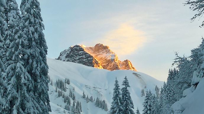 WP_20171213_08_09_22_Rich_LI