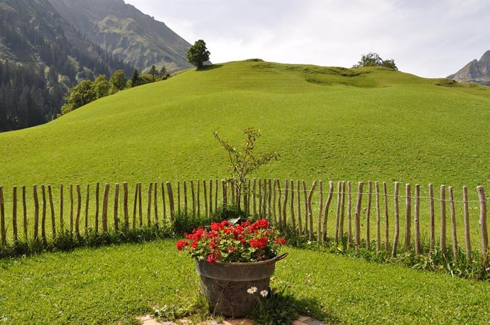 unser Hausberg im Sommer