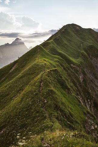 Höferspitze Grat