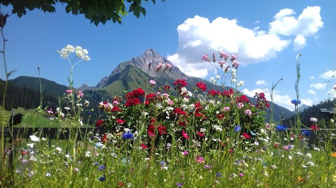 Blick Biberkopf
