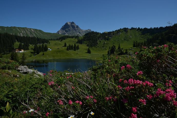 Körbersee - Schönster Platz Österreichs 2017