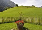 unser Hausberg im Sommer