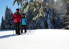 Winterwandern Brüggelekopf (c) Ludwig Berchtold - 