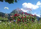 Blick Biberkopf