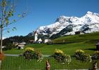 Terassenblick