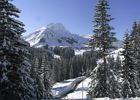 Lechleiten   10.02.2013.012