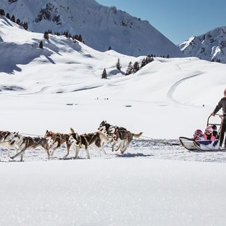 Husky sleigh ride