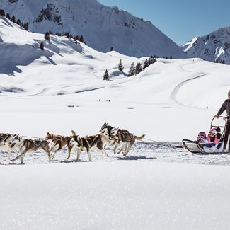 Husky Schlittenfahrt