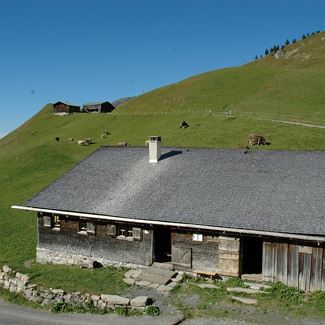 Alpine museum 'Uf'm Tannberg'